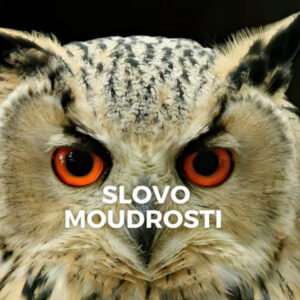 Dary Ducha svatého – Slovo moudrosti