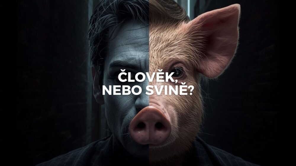Člověk, nebo svině? Člověk, nebo svině?